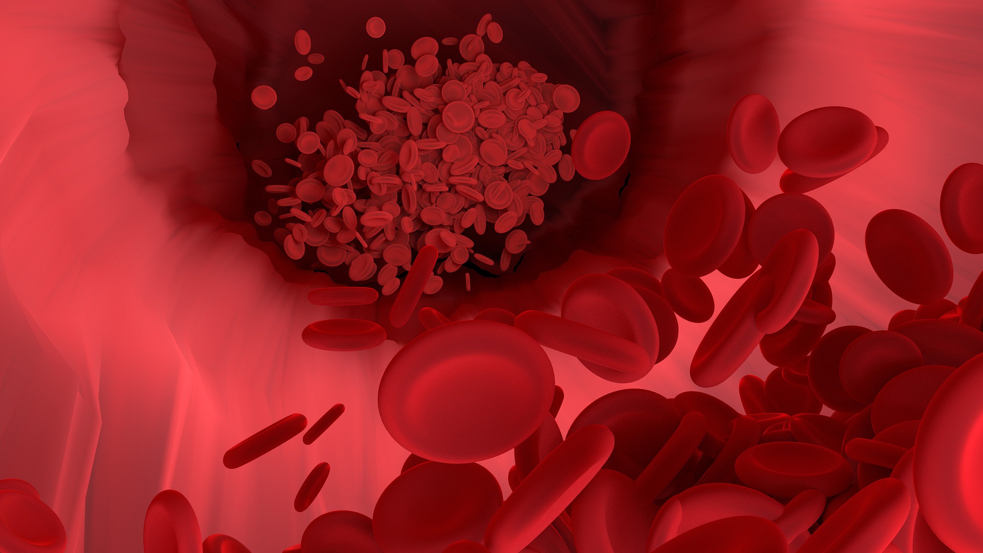red-blood-cell-4302093_1920